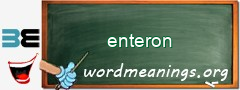 WordMeaning blackboard for enteron